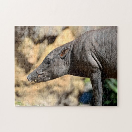 Sula west Babirusa varken Legpuzzel (Horizontaal)