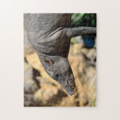 Sula west Babirusa varken Legpuzzel (Verticaal)