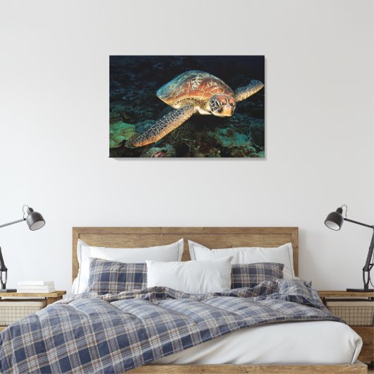 Sulawesi | Groene Zee schildpad Canvas Afdruk (Insitu (Slaapkamer))