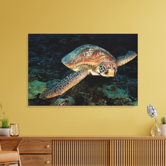 Sulawesi | Groene Zee schildpad Canvas Afdruk (Insitu (Woonkamer))