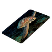 Sulawesi | Groene Zee schildpad Magneet (Linkerzijde)