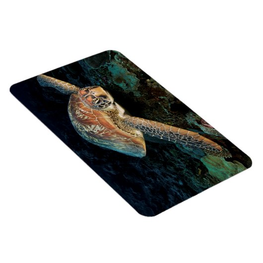 Sulawesi | Groene Zee schildpad Magneet (Rechterzijde)