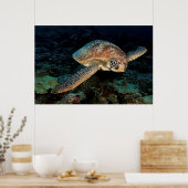 Sulawesi | Groene Zee schildpad Poster (Keuken)