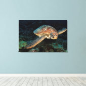 Sulawesi | Groene Zeeschildpad Canvas Afdruk (Insitu (Houten vloer))
