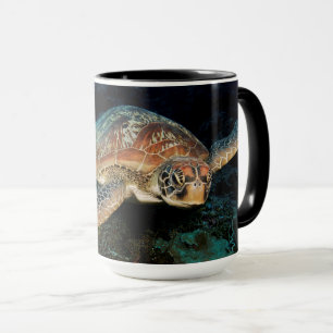 Sulawesi Groene Zeeschildpad Mok