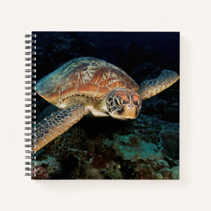 Sulawesi Groene zeeschildpad Notitieboek