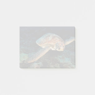 Sulawesi Groene zeeschildpad Post-it® Notes