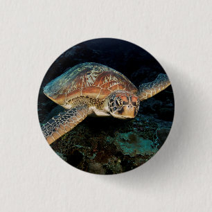 Sulawesi Groene Zeeschildpad Ronde Button 3,2 Cm