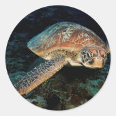 Sulawesi | Groene zeeschildpad Ronde Sticker (Voorkant)