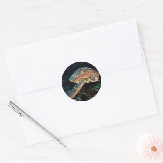 Sulawesi | Groene zeeschildpad Ronde Sticker (Envelop)
