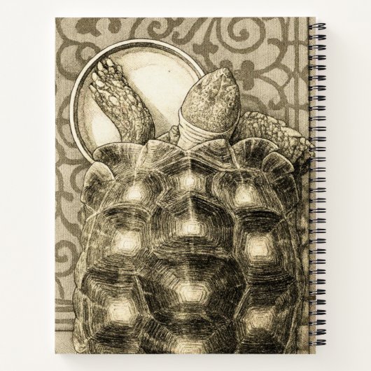 Sulcata Tortoise Art Nouveau Ink Sepia drawing Notitieboek (Achterkant)