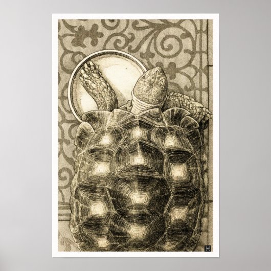 Sulcata Tortoise Art Nouveau Ink Sepia drawing Poster (Voorkant)