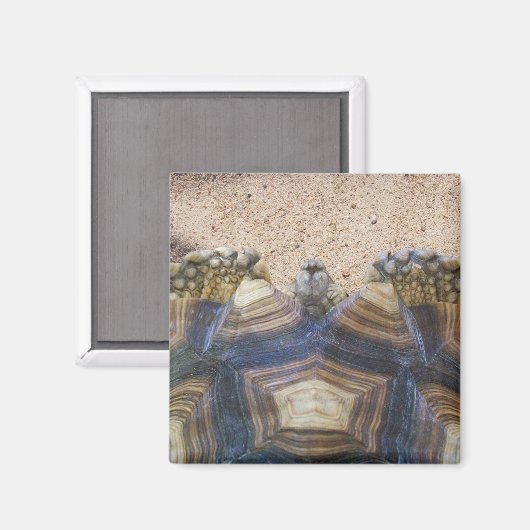 Sulcata Tortoise en Sand Magneet (Voorkant / Achterkant)