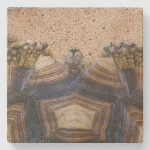 Sulcata Tortoise en Sand Magnet Stenen Onderzetter