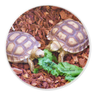 Sulcata Tortoise Hatchlings Keramische Knop