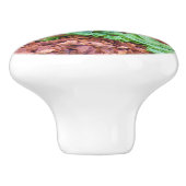 Sulcata Tortoise Hatchlings Keramische Knop (Zijkant)