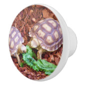 Sulcata Tortoise Hatchlings Keramische Knop (Rechts)