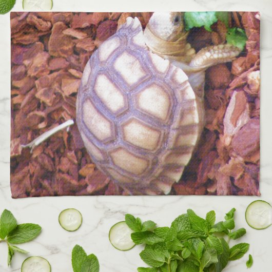 Sulcata Tortoise Hatchlings Theedoek (Gevouwen)