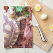 Sulcata Tortoise Hatchlings Theedoek (Quarter Fold)