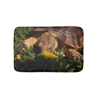 Sulcata Tortoise in Grass and Dandelion Flowers Badmat