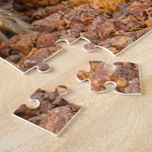 Sulcata Tortoise Legpuzzel (Zijkant)