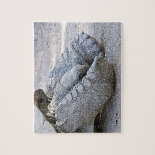 Sulcata Tortoise Legpuzzel (Verticaal)