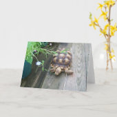 Sulcata Tortoise Lounging on Balcony Eating Flower Kaart (Gele Bloem)