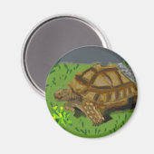 Sulcata Tortoise Magneet (Voorkant / Achterkant)