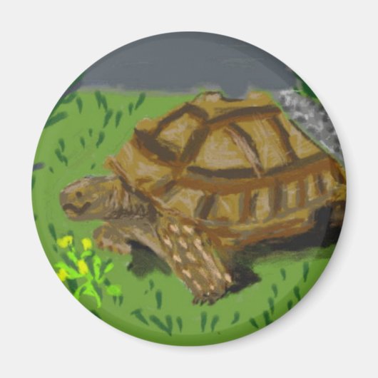 Sulcata Tortoise Magneet (Voorkant)