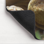 Sulcata Tortoise Muismat (Hoek)