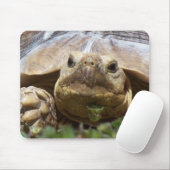 Sulcata Tortoise Muismat (Met muis)