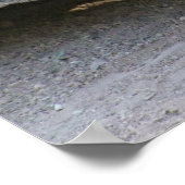 Sulcata Tortoise Poster (Hoek)