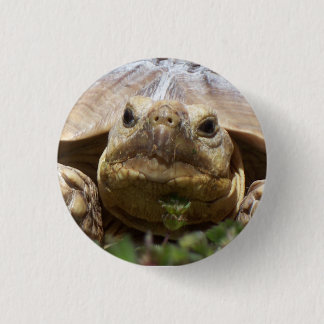 Sulcata Tortoise Ronde Button 3,2 Cm