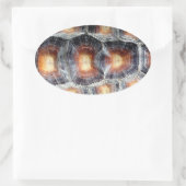 Sulcata Tortoise Shell Sticker (Tas)