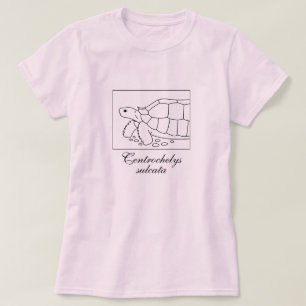 Sulcata Tortoise Shirt (doos, zwart)