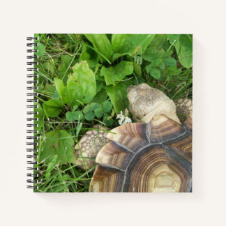 Sulcata Tortoise van boven bekeken op Green Lawn Notitieboek