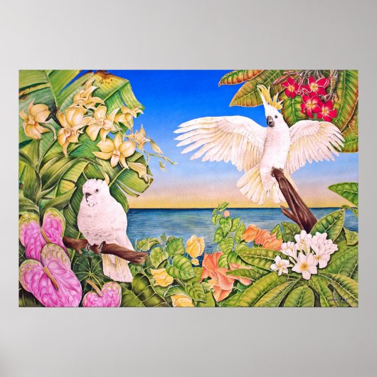Sulfer-crested Cockatoos Poster (Voorkant)