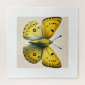 Sulfur butterfly Colias 130924IREF208 - Watercolor Legpuzzel (Horizontaal)