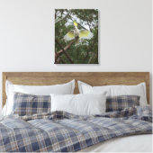 Sulfur-crested Cockato Bird Australië Canvas Afdruk (Insitu (Slaapkamer))