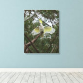 Sulfur-crested Cockato Bird Australië Canvas Afdruk (Insitu (Houten vloer))