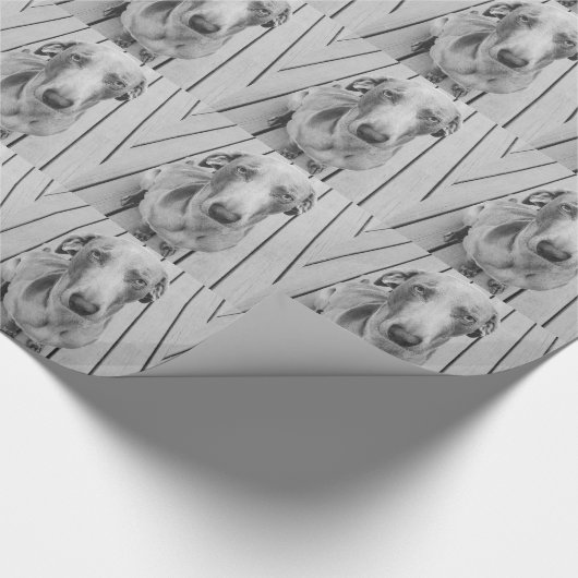 Sullen Weimaraner B&W Cadeaupapier (Hoek)