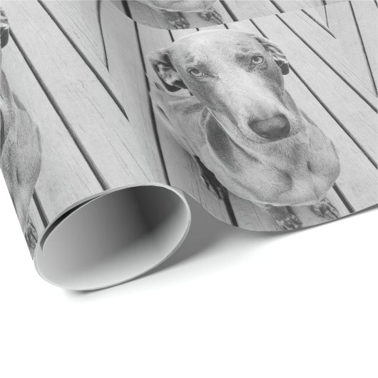 Sullen Weimaraner B&W Cadeaupapier (Rol Hoek)