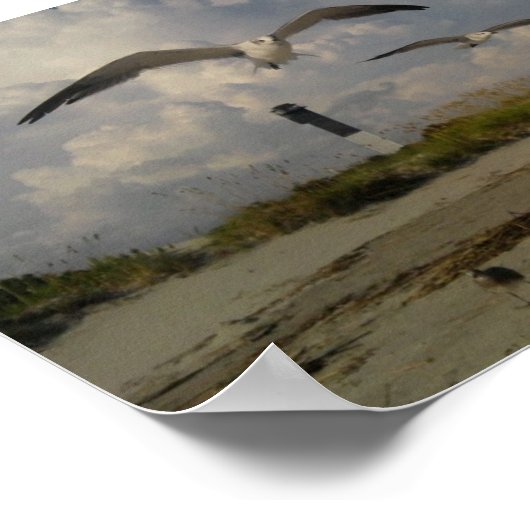 Sullivans Island Poster (Hoek)