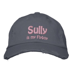 Sully is mijn Flyboy, US Airways, vlucht 1549 Pet