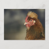 Sulmtaler Briefkaart (Voorkant)