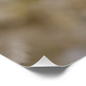 Sulmtaler Hen Perfect Poster (Hoek)