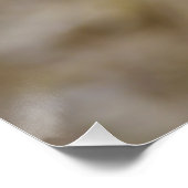 Sulmtaler Hen Poster (Hoek)