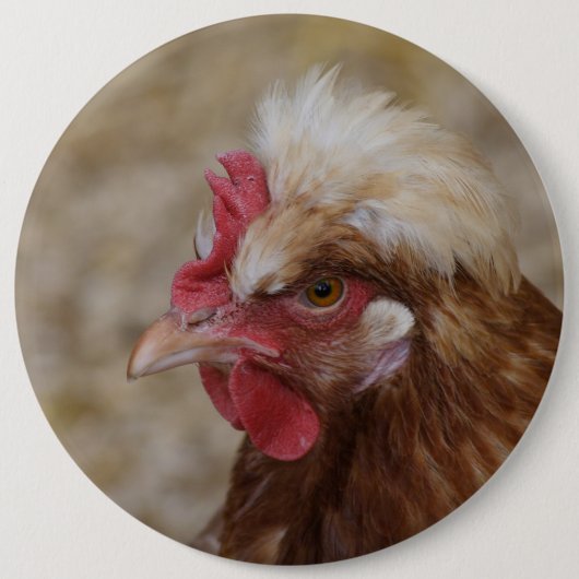 Sulmtaler Hen Ronde Button 6,0 Cm (Voorkant)