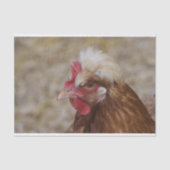 Sulmtaler Hen Tissuepapier (Voorkant)