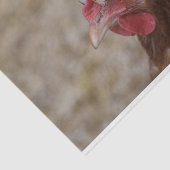 Sulmtaler Hen Tissuepapier (Detail)